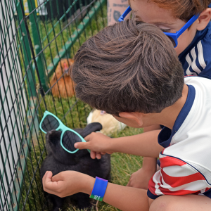Jospeh Cetola, age 5, dresses up a bunny. 