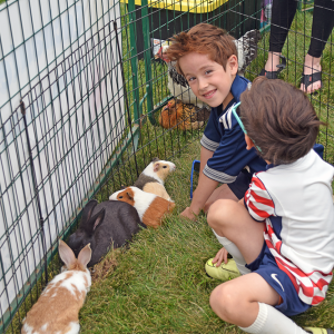 Benjamin Cetola, 6, and Joseph Cetola, 5, pet the guinea pigs. 