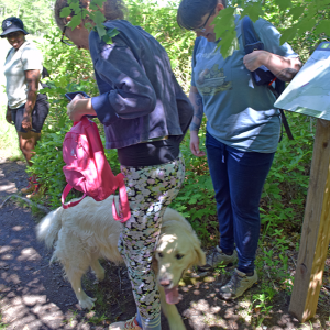 A passing group had a dog, who was as excited as the hikers to see each other. 