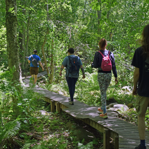 The group passes over the boardwalk. 