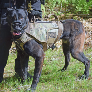 Even police dogs showed up!