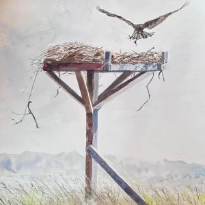 art