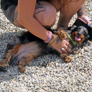 Mabel enjoys some belly rubs. 