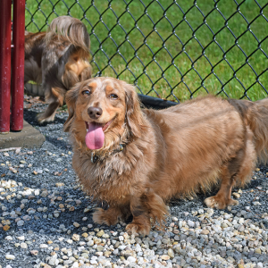 Murphy smiling at the camera. 