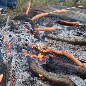 Hot dogs over the fire. 