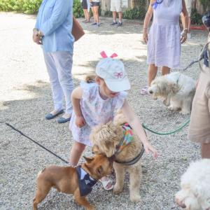 A child enjoys the seemingly endless dogs to pet. 