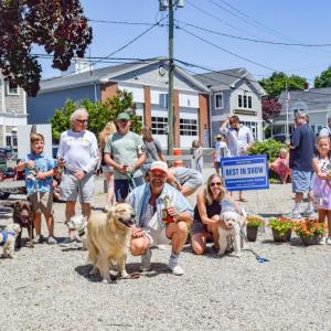 All of the winning dogs.