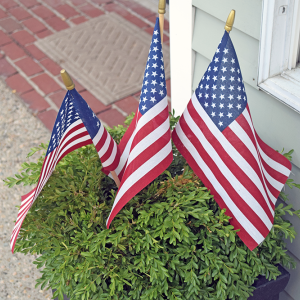 The town of Dartmouth was covered in flags. 