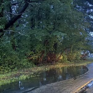 A puddle in the road. 