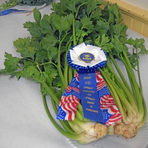 The award winning celery. 