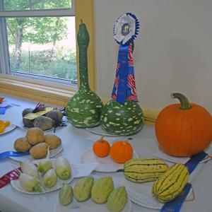 Some of the produce on display. 