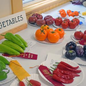 Produce displayed to be judged. Photos by Kat Sheridan