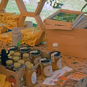 The bee keeping exhibit. 