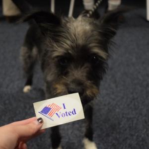 Some of those who visited the polls weren't even human!