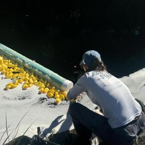 A volunteer grabs the winning ducks out of the water. 