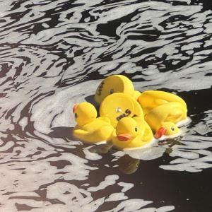 Some rubber duckies float down the river. Photos by Kat Sheridan