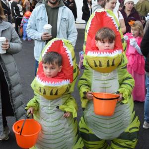 Jones (4) and Lion (7) dressed as matching dinosaurs. 