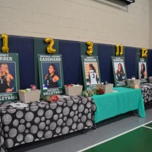 The seniors' posters. 