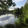 Cornell Pond. Stock photo