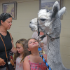 Aubrey stares lovingly at the alpaca. Photos by Kat Sheridan