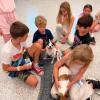 The kids meet a puppy. Source: Humane Society and Shelter Southcoast Facebook