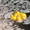Some rubber duckies float down the river. Photos by Kat Sheridan