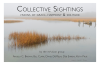 Collective Sightings - Photograph by Angela C. Brown